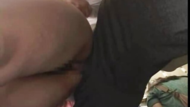 成熟した熟女撫で猫 女の子 向け エッチ 無料 動画