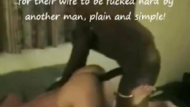 彼女の愛人のための毛深い猫を舐めている成熟した雌犬 せっくす 女性 動画